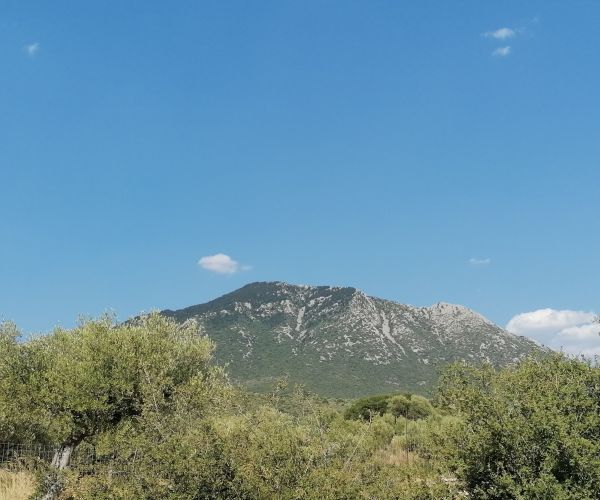 Image No.11-Plot for sale