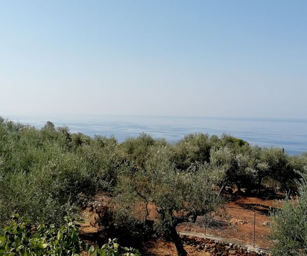 Image No.11-Maison de 4 chambres à vendre à Kardamyli