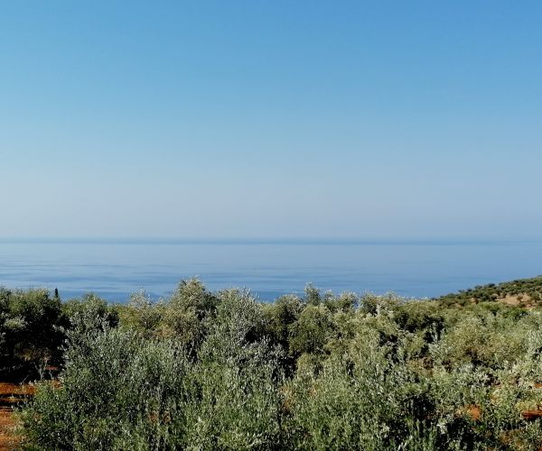 Image No.12-Maison de 4 chambres à vendre à Kardamyli