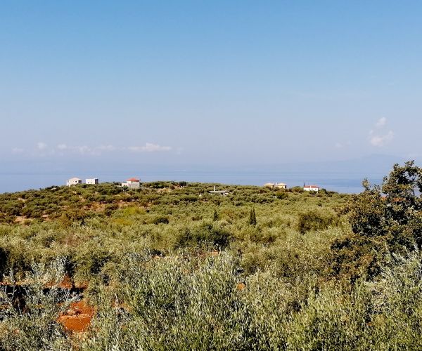 Image No.13-Maison de 4 chambres à vendre à Kardamyli