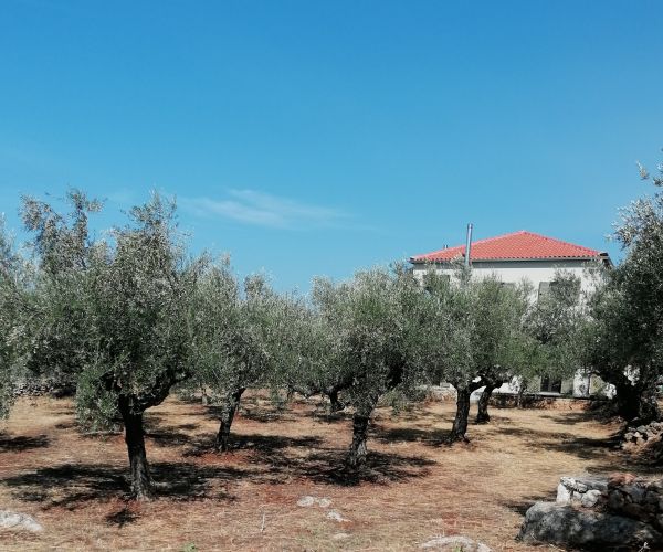 Image No.40-Maison de 4 chambres à vendre à Kardamyli