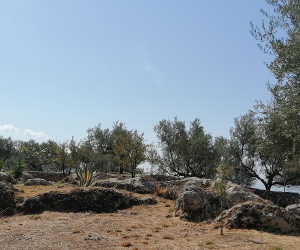Image No.41-Maison de 4 chambres à vendre à Kardamyli