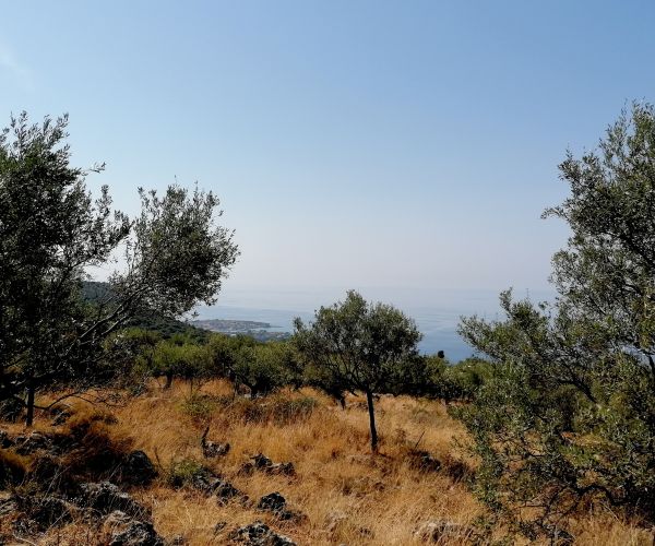 Image No.43-Maison de 4 chambres à vendre à Kardamyli