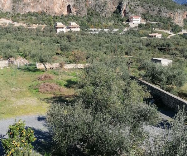 Image No.12-Maison de 5 chambres à vendre à Kardamyli