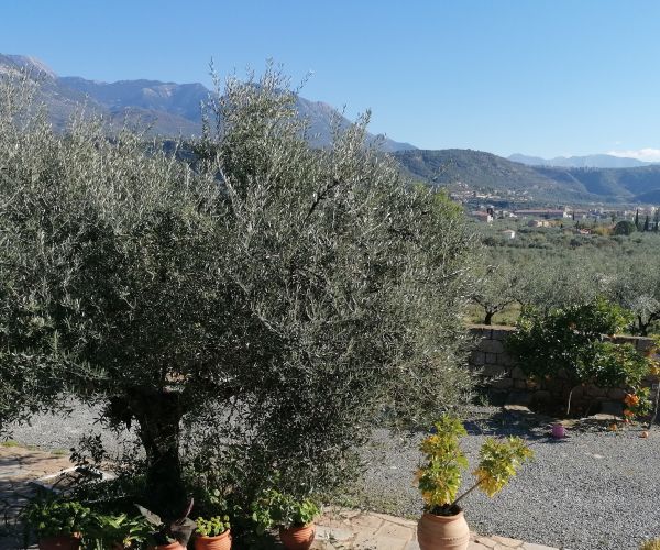 Image No.34-Maison de 5 chambres à vendre à Kardamyli