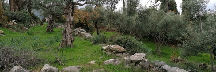 Image No.1-Plot for sale