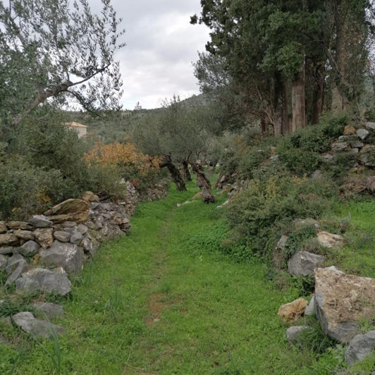 Image No.2-Plot for sale