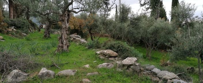 Image No.3-Plot for sale