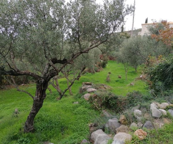 Image No.4-Plot for sale