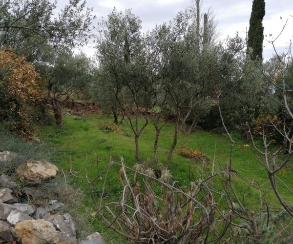 Image No.5-Plot for sale