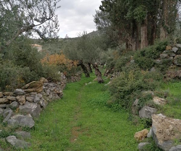 Image No.6-Plot for sale