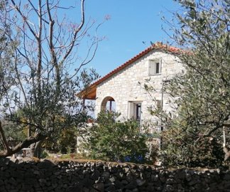 img20250225111837