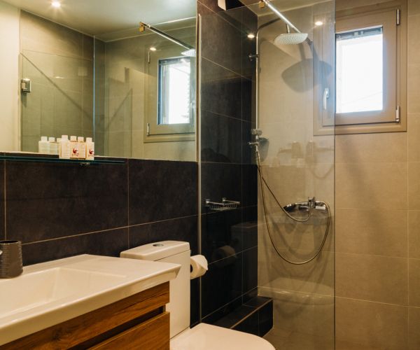 Image No.9-Maison de 6 chambres à vendre à Agios Nikolaos