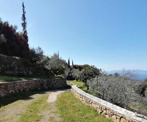 Image No.16-Maison de 3 chambres à vendre à Kardamyli