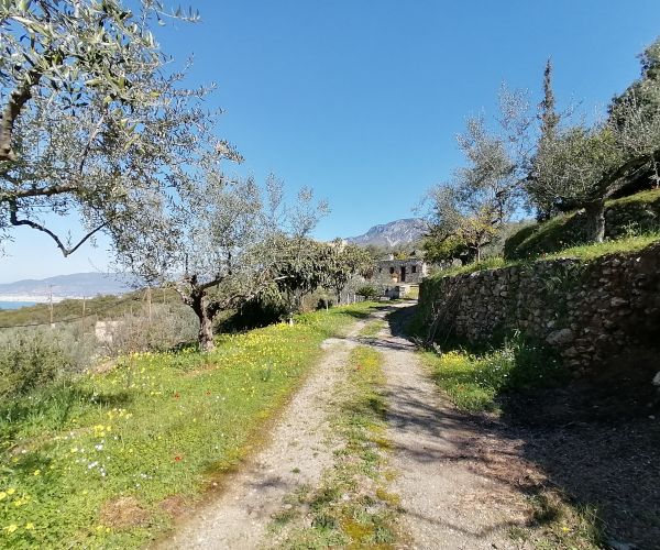 Image No.22-Maison de 3 chambres à vendre à Kardamyli