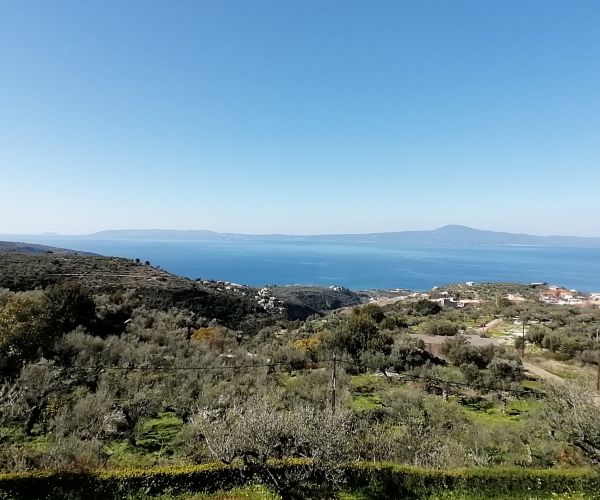 Image No.50-Maison de 3 chambres à vendre à Kardamyli