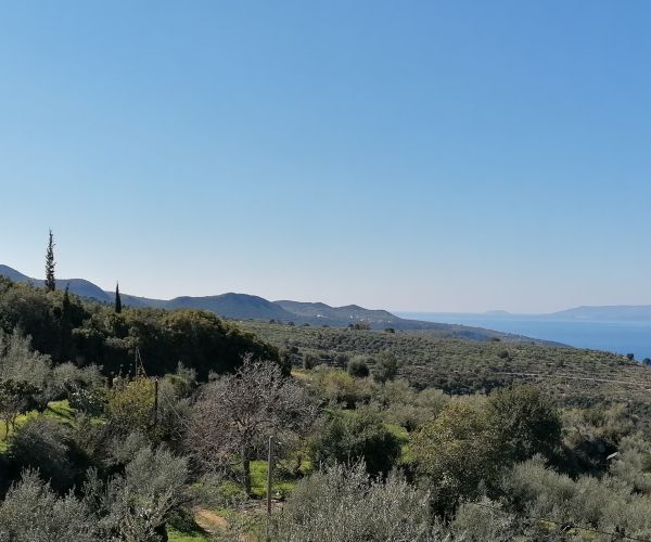 Image No.51-Maison de 3 chambres à vendre à Kardamyli