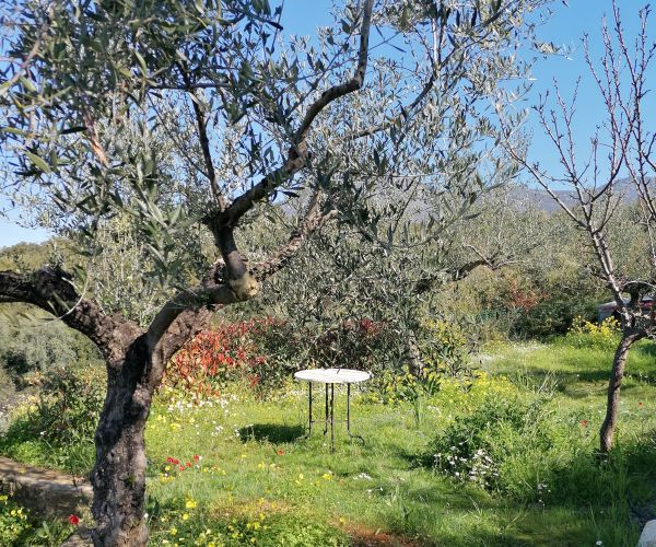 Image No.54-Maison de 3 chambres à vendre à Kardamyli