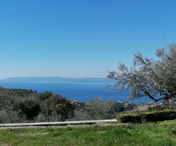 Image No.57-Maison de 3 chambres à vendre à Kardamyli