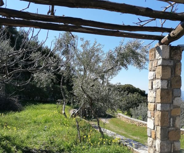 Image No.58-Maison de 3 chambres à vendre à Kardamyli