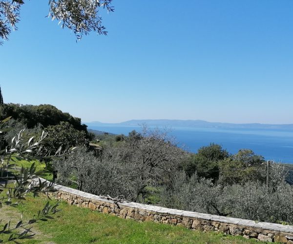 Image No.59-Maison de 3 chambres à vendre à Kardamyli