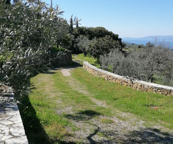 Image No.60-Maison de 3 chambres à vendre à Kardamyli