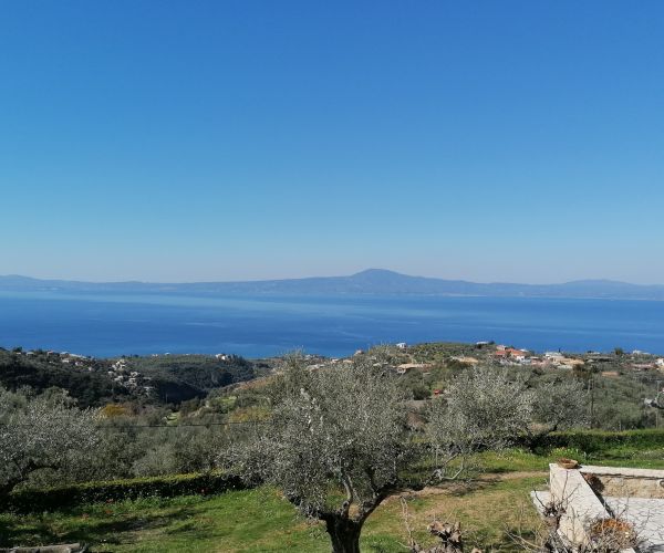 Image No.63-Maison de 3 chambres à vendre à Kardamyli