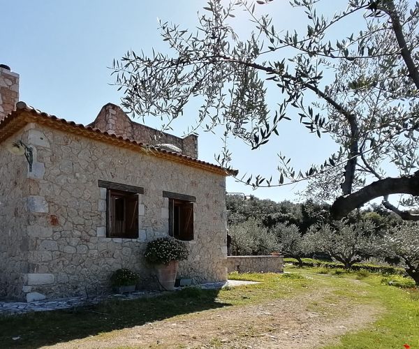 Image No.8-Maison de 3 chambres à vendre à Kardamyli