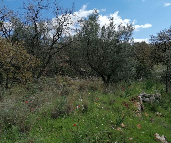 Image No.5-Plot for sale