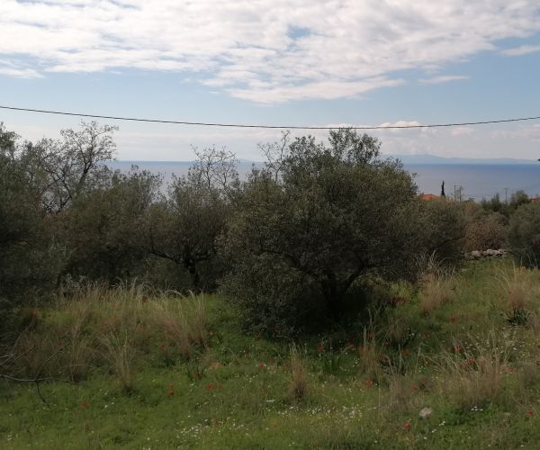 Image No.6-Plot for sale