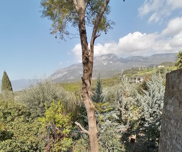 Image No.22-2 Bed House for sale