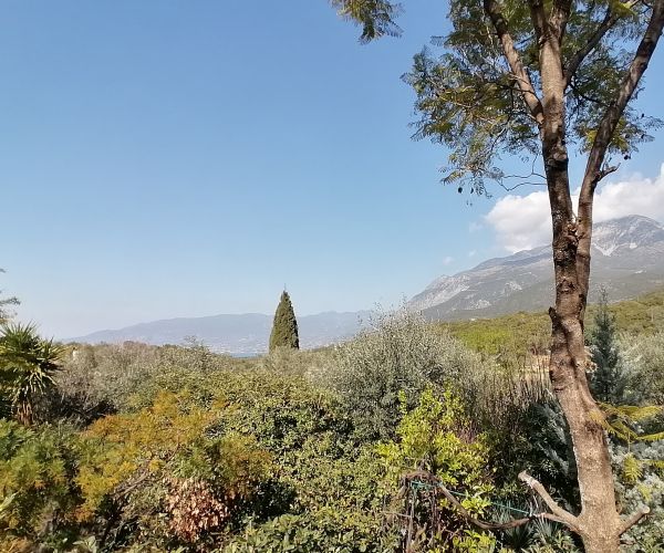 Image No.23-2 Bed House for sale