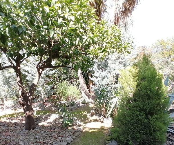 Image No.25-2 Bed House for sale