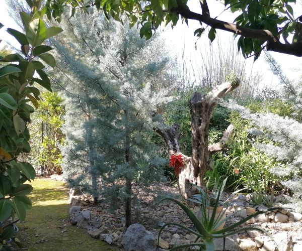 Image No.27-2 Bed House for sale