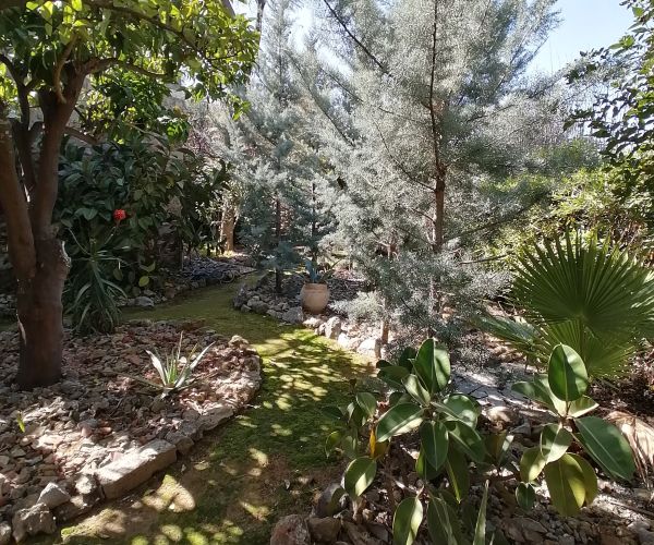 Image No.29-2 Bed House for sale