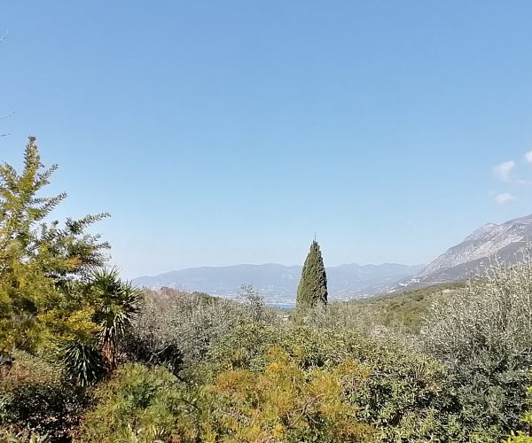 Image No.30-2 Bed House for sale