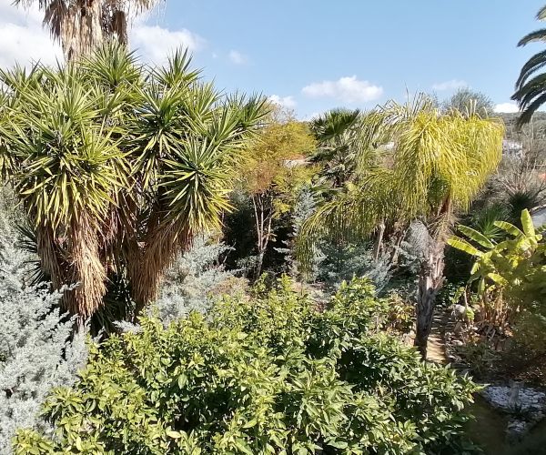 Image No.31-2 Bed House for sale