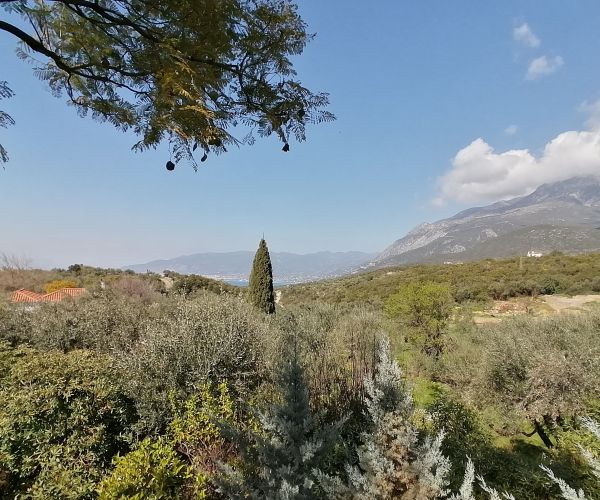 Image No.32-2 Bed House for sale