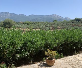 image250610115157