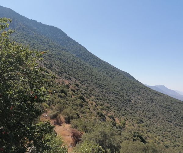 Image No.31-Maison de 2 chambres à vendre à Grèce