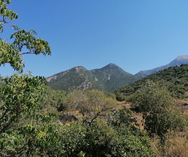 Image No.39-Maison de 2 chambres à vendre à Grèce