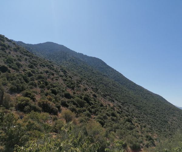 Image No.40-Maison de 2 chambres à vendre à Grèce