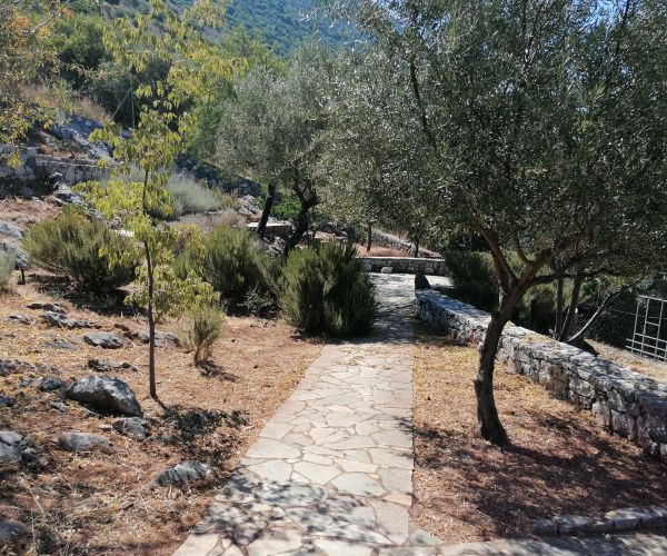 Image No.56-Maison de 2 chambres à vendre à Grèce