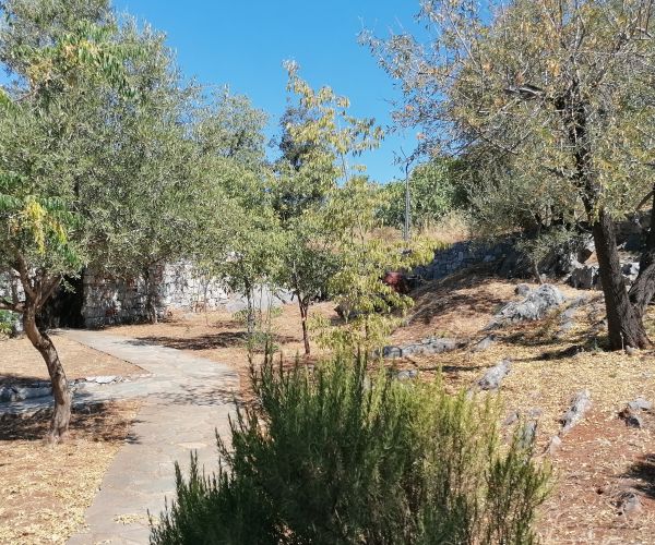 Image No.58-Maison de 2 chambres à vendre à Grèce