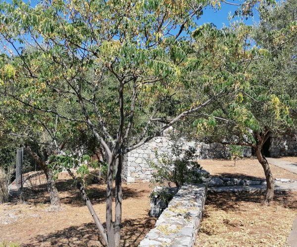 Image No.59-Maison de 2 chambres à vendre à Grèce
