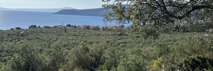 Image No.1-Plot for sale