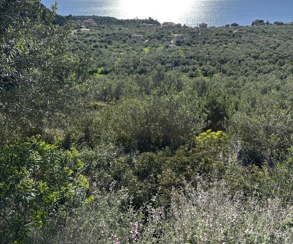 Image No.10-Plot for sale