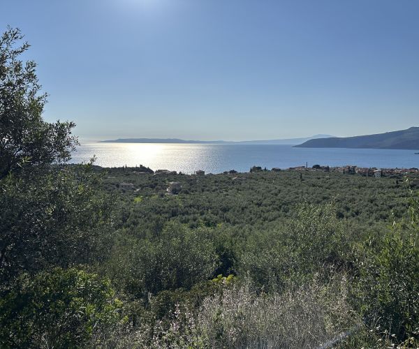 Image No.13-Plot for sale