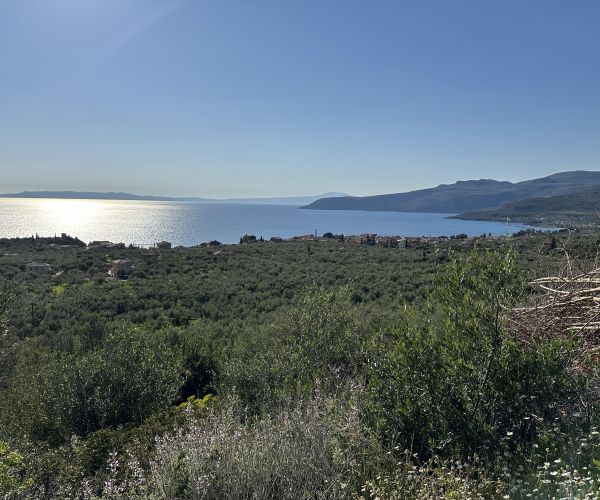 Image No.14-Plot for sale