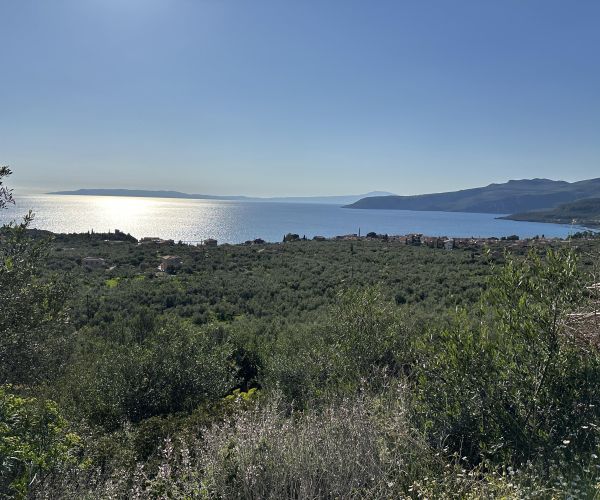 Image No.15-Plot for sale